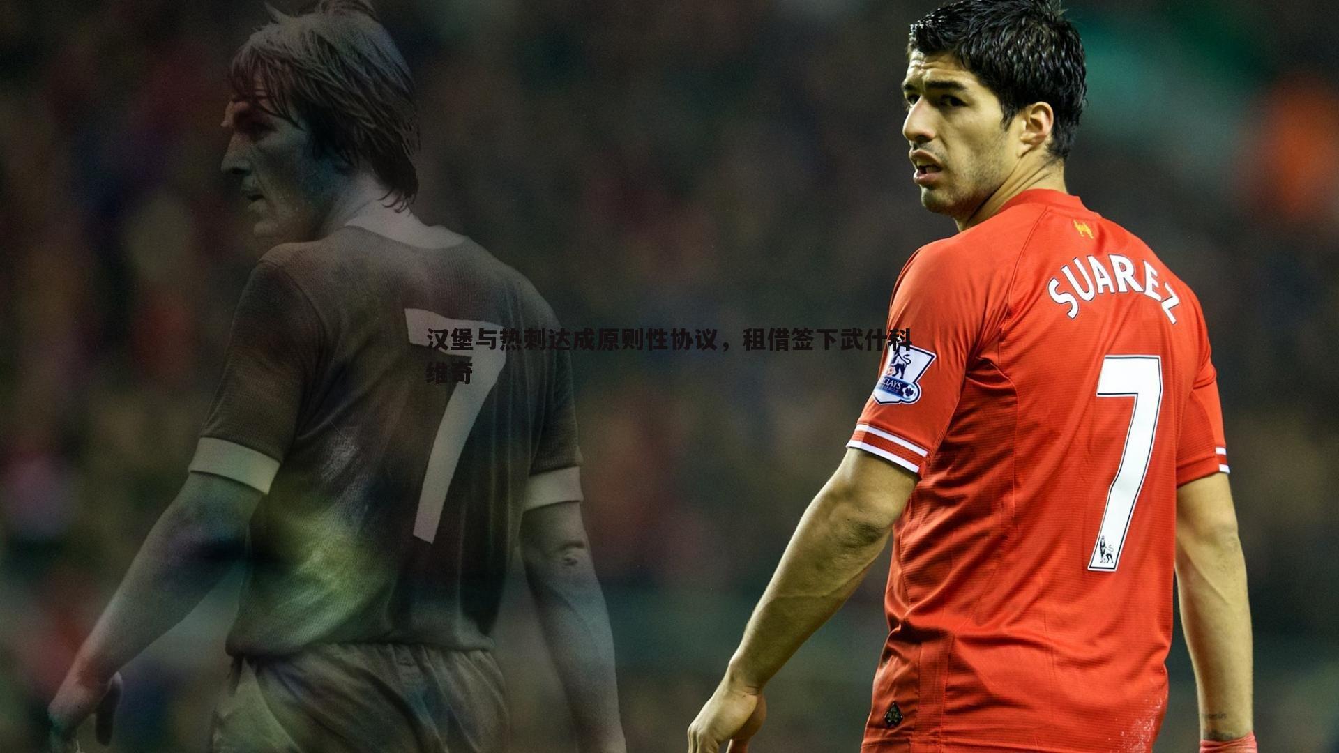 汉堡与热刺达成原则性协议，租借签下武什科维奇